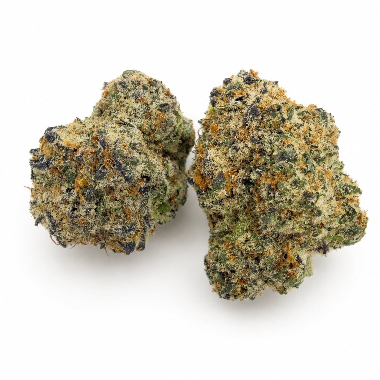 Lime Sherb